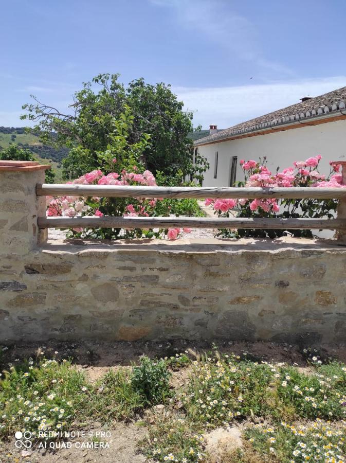 Cortijo La Laguna Ronda Exterior photo